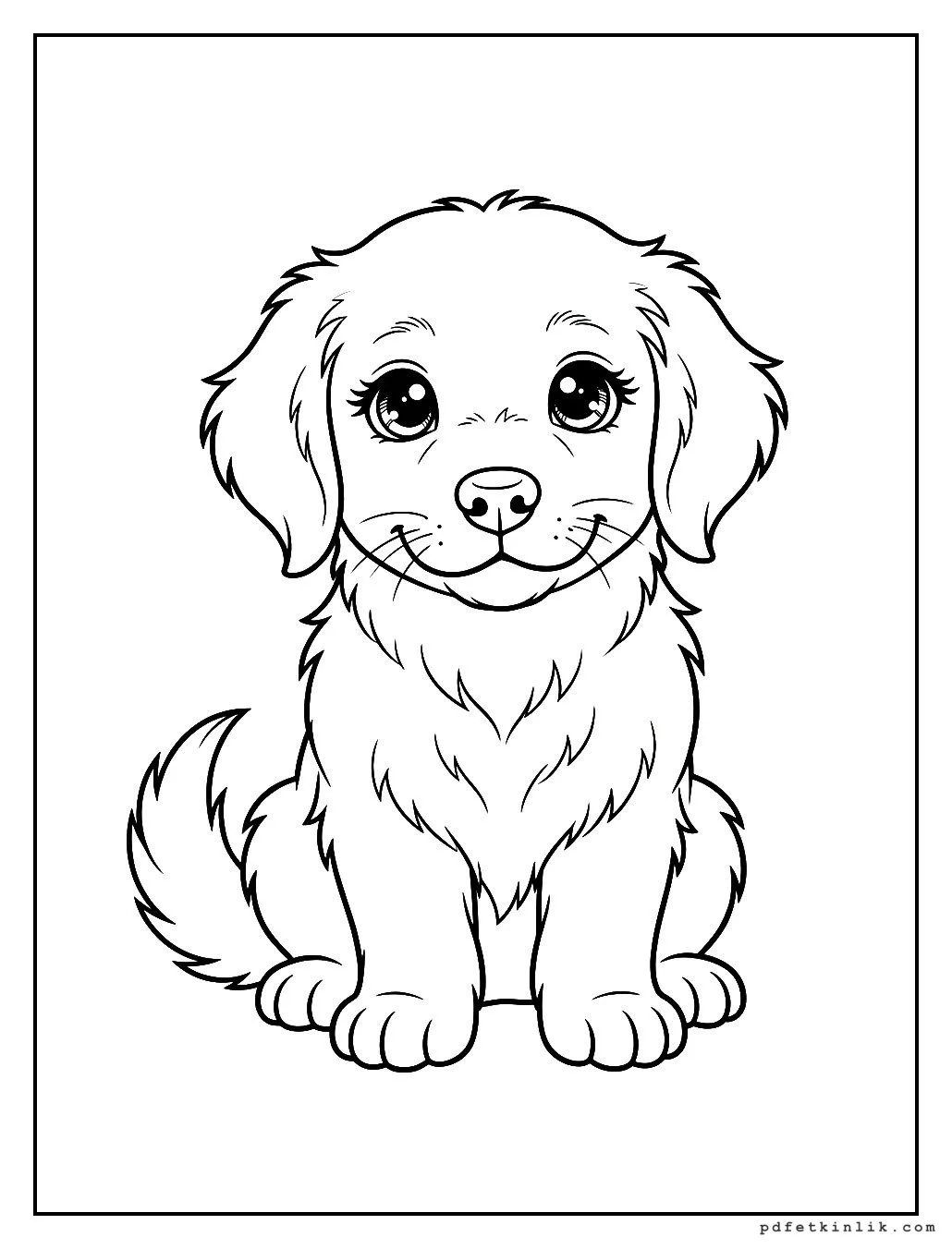 Golden Retriever Yavrusu