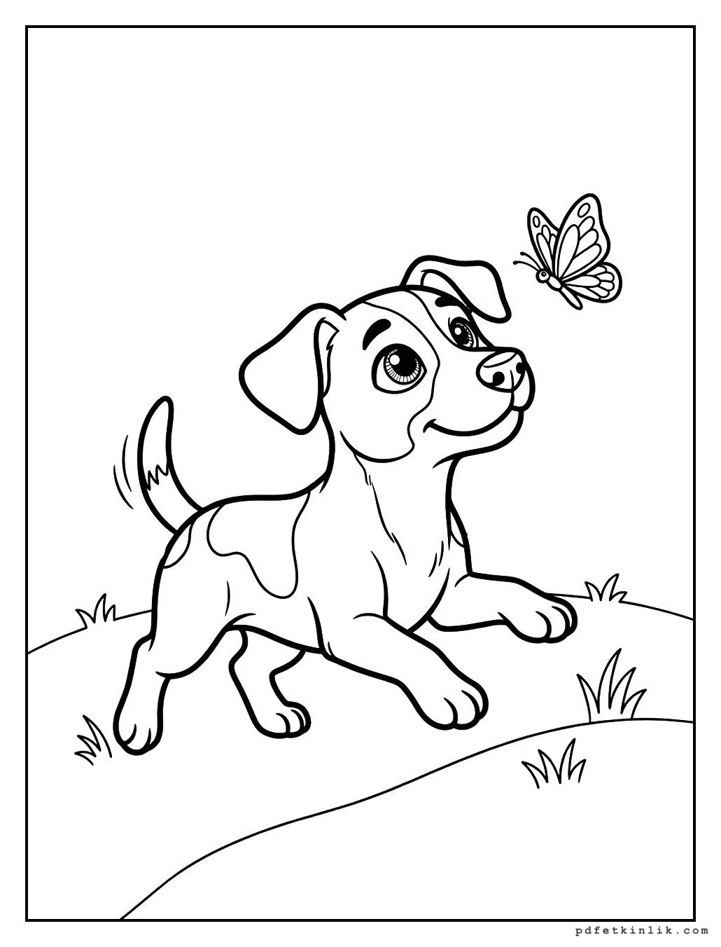 Jack Russell Kelebeği Kovalıyor