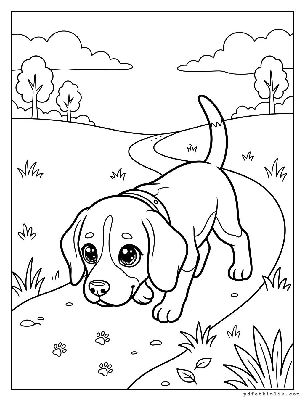 Koku İzini Süren Beagle