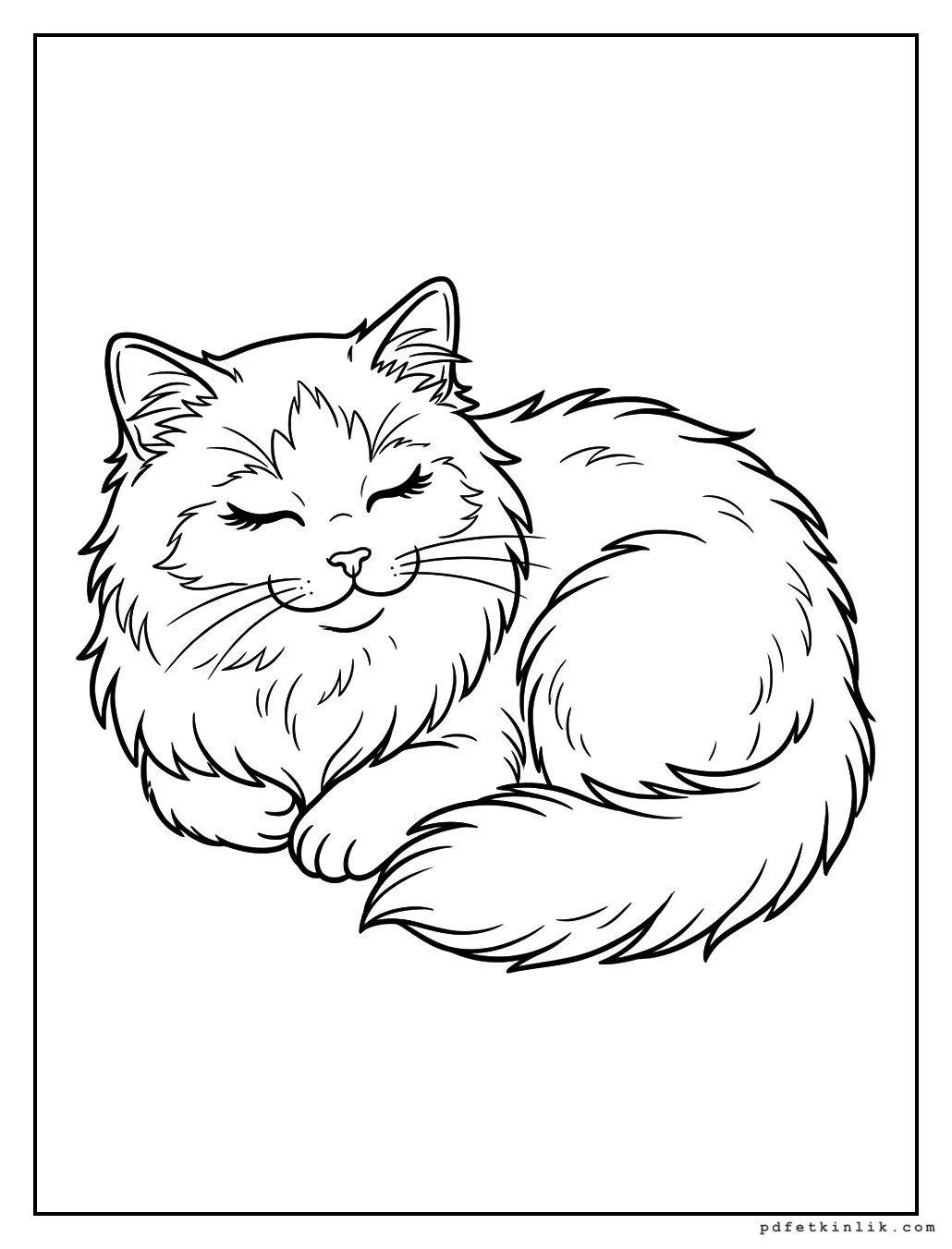 Ragdoll Kedisi Uyurken