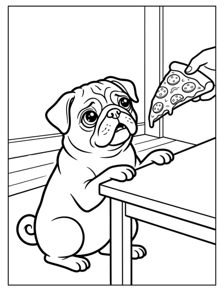 Pizza İsteyen Pug