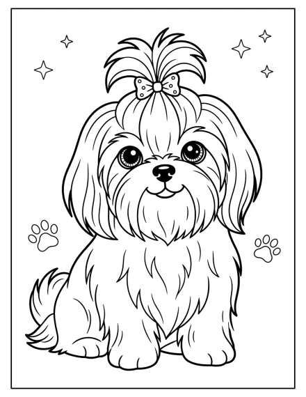 Topuzlu Shih Tzu Köpek