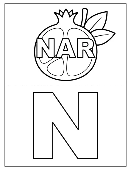 N Harfi