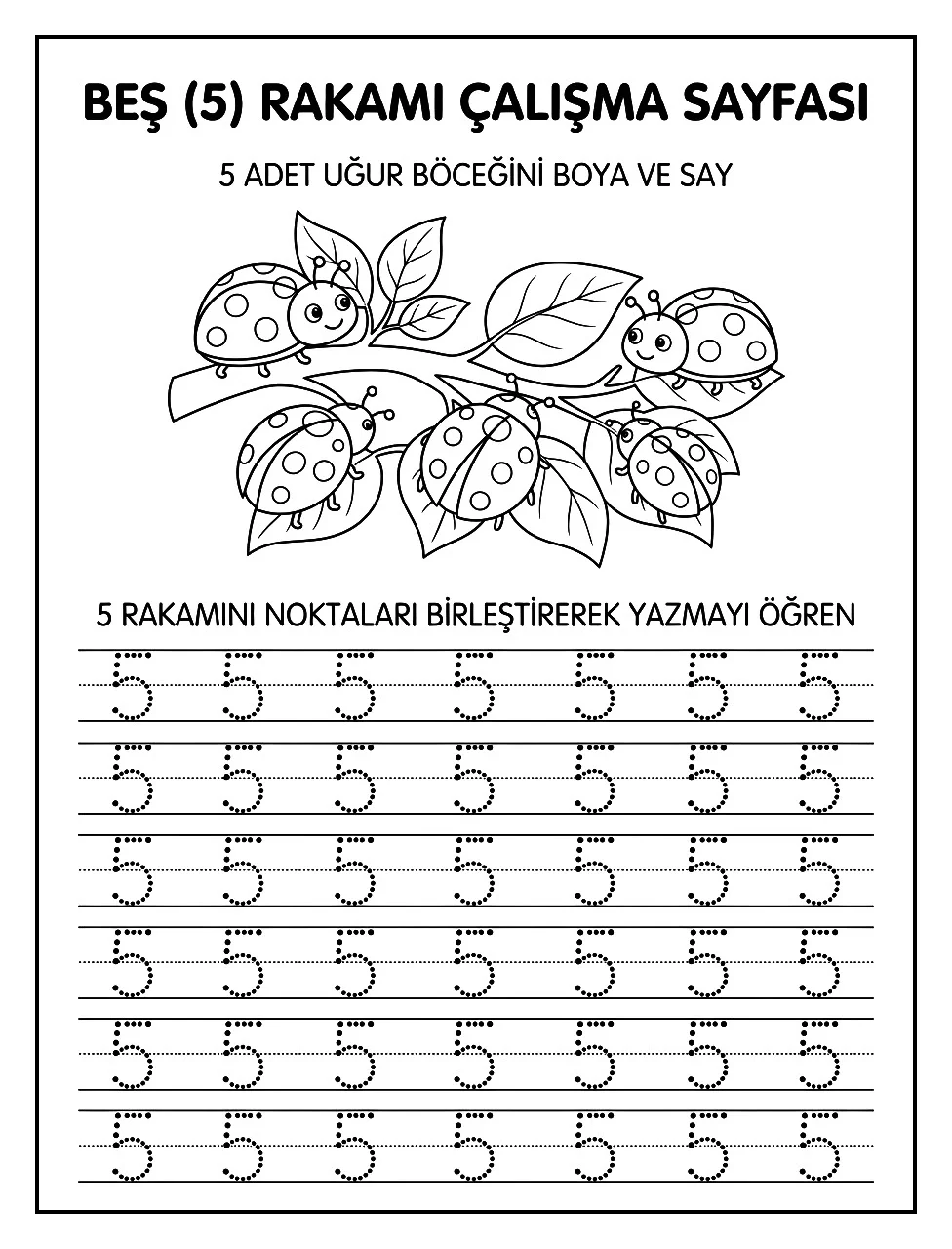 5-rakami-etkinlik.webp